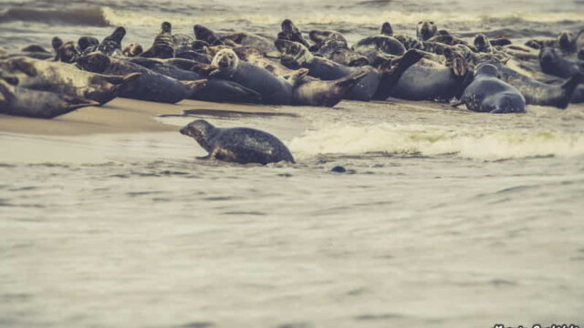 Gdansk-miasto-ktore-warto-zobaczyc_000